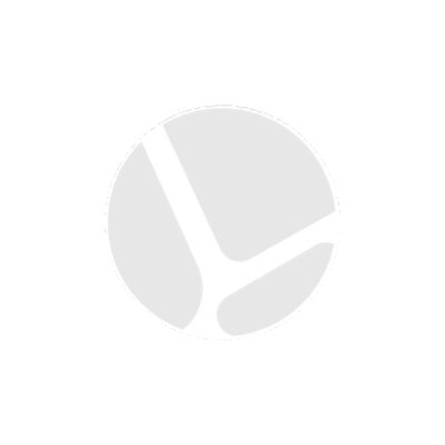 Castrol Edge A1 5W-20